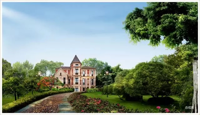 1547781456996836.jpg 640.webp (30).jpg